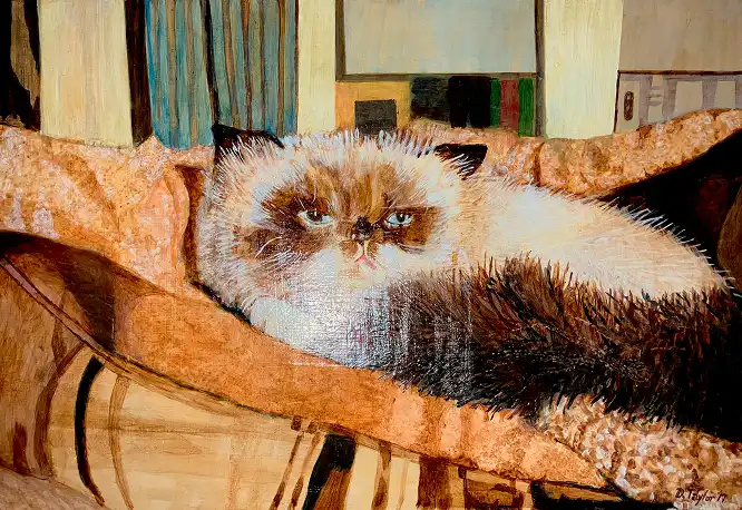 Pets and Animals_GalleryPage
