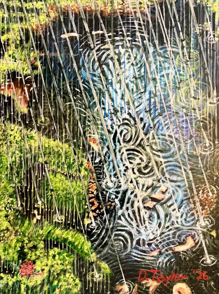 NW2_MS04_ShowerPond_