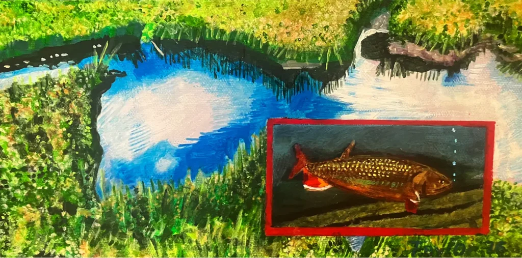 NW2_MS16_Brook Trout_