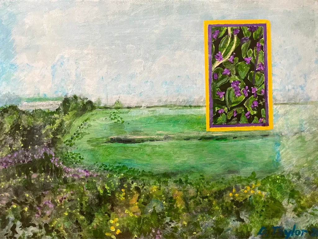 NW5_SB01_green meadow_