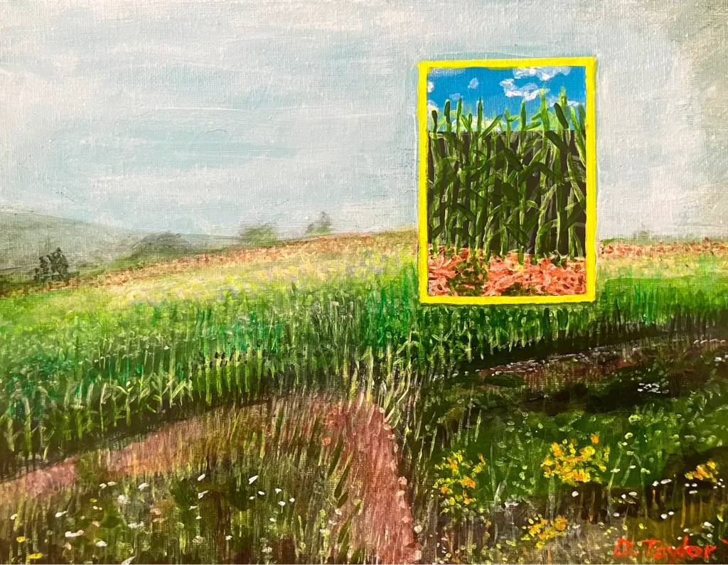 NW5_SB03_corn field_